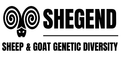 SHEGEND logo